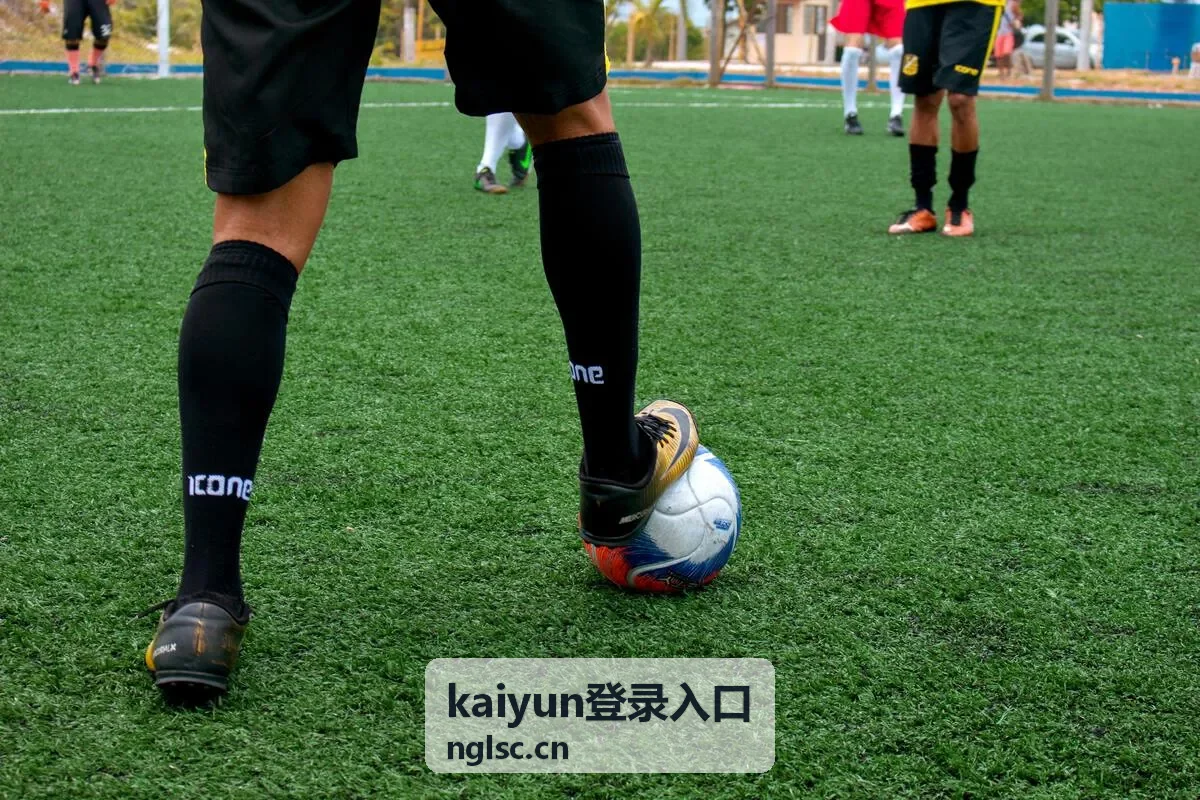kaiyun登录入口客户端登录界面示意图